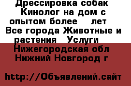 Дрессировка собак (Кинолог на дом с опытом более 10 лет) - Все города Животные и растения » Услуги   . Нижегородская обл.,Нижний Новгород г.